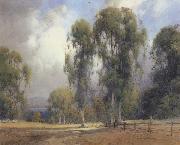 unknow artist California landscape oil painting reproduction